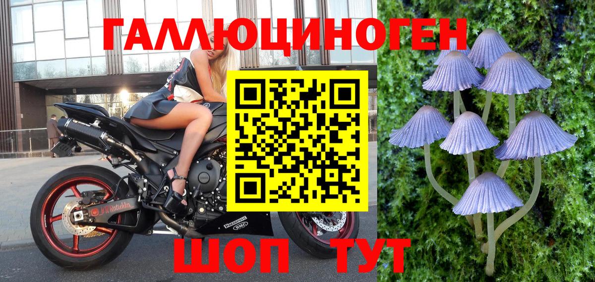 Галлюциногенные грибы Psilocybine cubensis Кирово-Чепецк